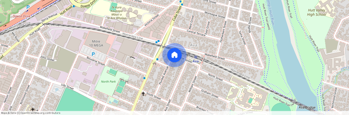 42 Plunket Avenue, Petone, Lower Hutt