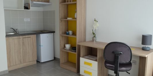 Location Appartement 1 pièce 21m² ISLE 87170 - Photo 3