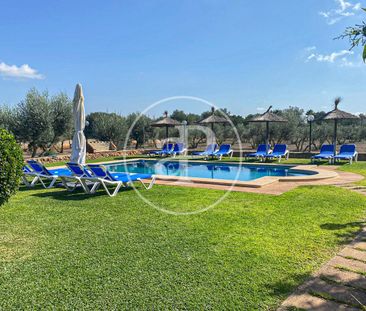 House for rent in Llucmajor - Photo 4