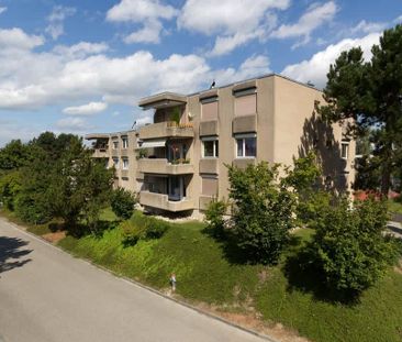 2.5 Zimmer, 55 m², EG - Photo 2