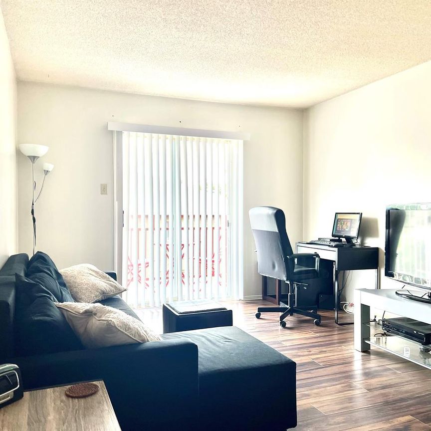 1 CH - 1 SDB - Gatineau - $1,150 /mo - Photo 1