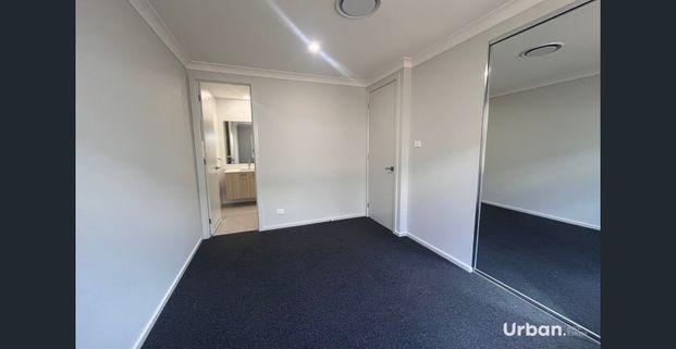 Brand New Four Bedroom Home in Huntlee - Photo 1