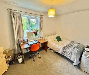 Filby Close, Div[Itemprop='Addresslocality'] - Photo 3