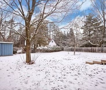 For Lease - 20 King Street, Georgina, Ontario - Photo 2