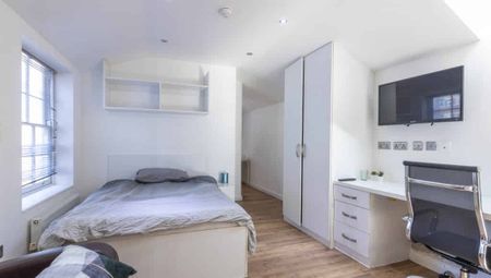 Large Premier Studio - Photo 4