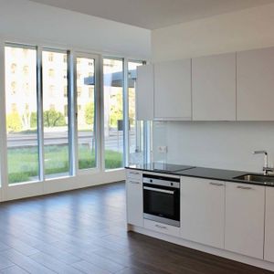 1.5 Zimmer, 53 m², EG - Foto 2