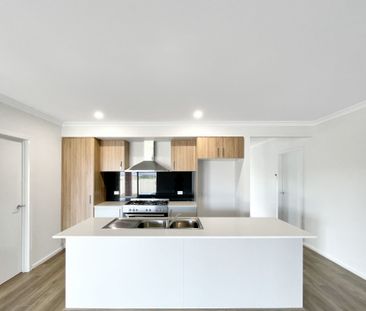 21 Webb Road, Bonshaw - Photo 5