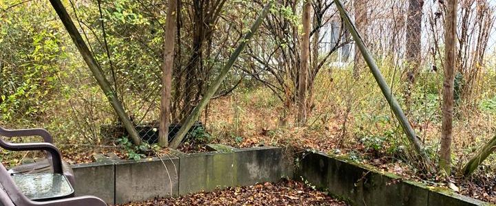 1 ZKB Wohnung in S-West mit Terrasse - ideal für Studenten - Photo 1