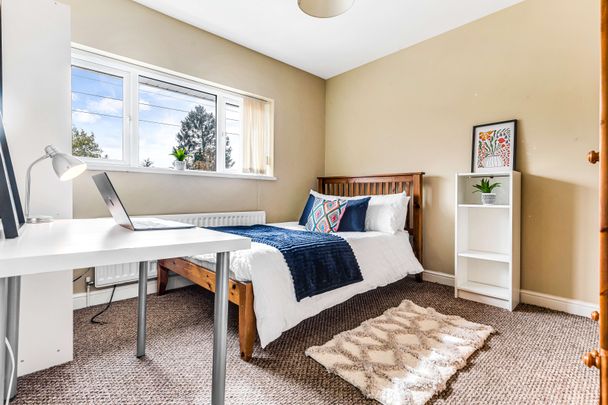 Exquisite rooms for Professionals - Photo 1