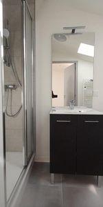 Location Appartement 2 pièces 31m² MACON 71000 - Photo 4