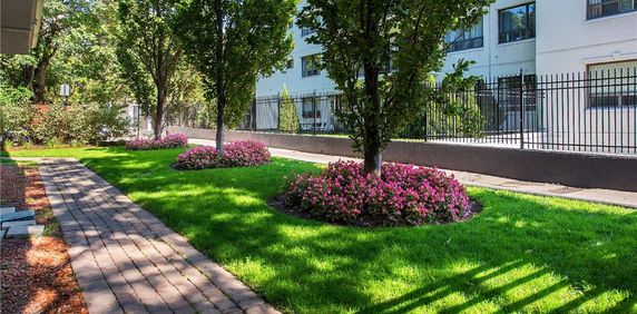 Castellana - Photo 2