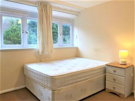 2 bedroom house to rent - Photo 4