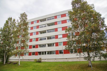 Hamnplan 16 B, 94161, Piteå - Foto 3