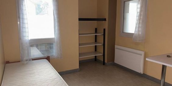 Appartement à louer, 1 pièce - Angers 49000 - Photo 3