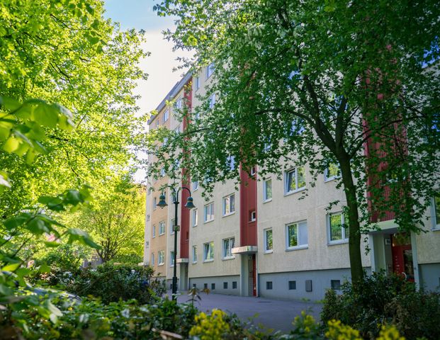 3-Raum-Wohnung - Foto 1