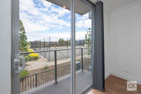 5/19 Hindmarsh Terrace - Photo 5