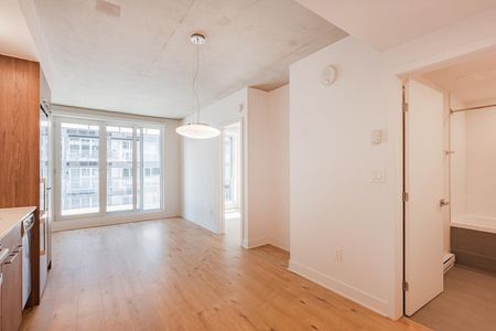 693 William Street, Montréal, QC - Photo 5