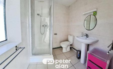 St. Helens Avenue, SWANSEA - Photo 5