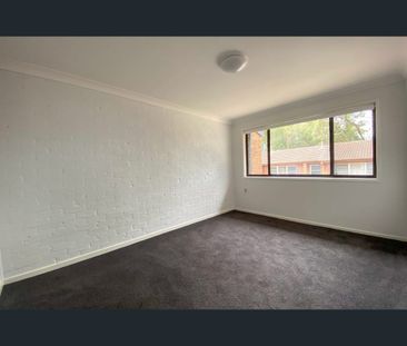 2/6 Lobelia Cl, Metford, NSW 2323 - Photo 3
