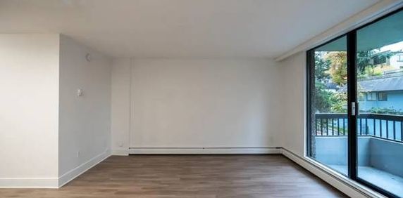 Bachelor/Studio Apartment - Photo 2