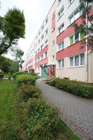 M-3 ZAZAMCZE UL RAJSKA NAJEMCA NIE PŁACI PROWIZJI DLA BIURA - Photo 5