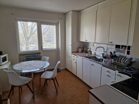 Segevångsgatan, Malmö - Foto 3