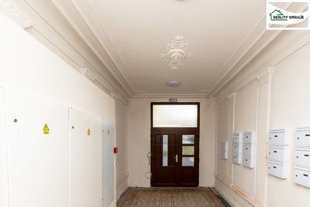 Pronájem bytu 1+1 75 m² - Fotografie 3