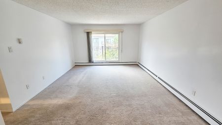 Top Floor Corner Condo – 2 Bedrooms | 40+ Building | Near Chinook Mall. - Photo 5