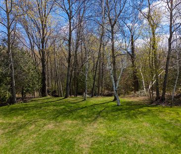 For Lease - 31 SLALOM GATE Road, Collingwood, Ontario - Photo 2