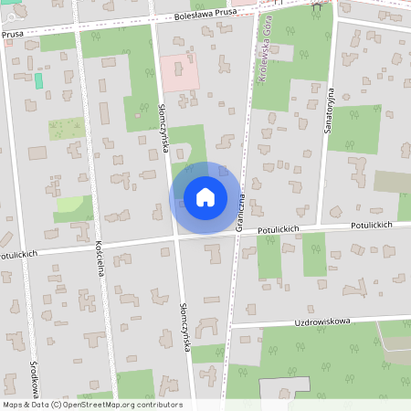 Piaseczyński, Konstancin-Jeziorna, Potulickich/leśny, duży, ogród, /przy, Parku, Zdrojowym