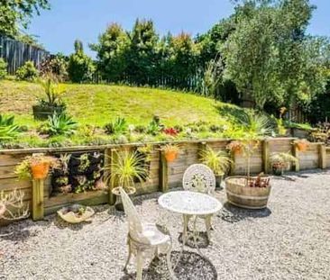 Modern & Rangi Zone - Photo 1