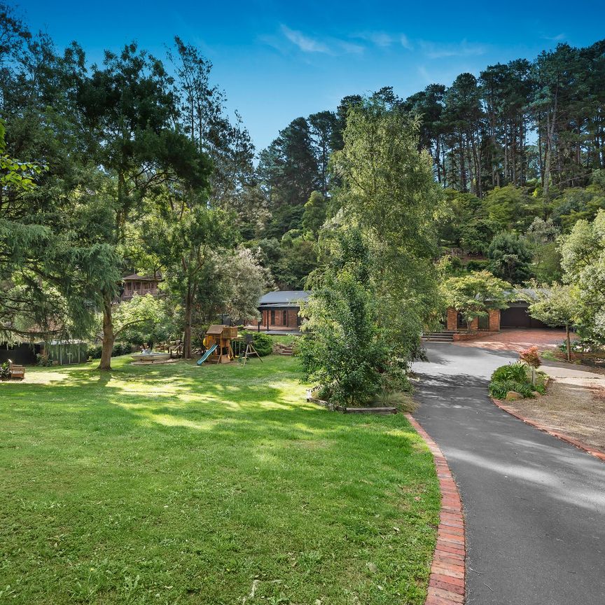 9-11 Curry Road, Park Orchards - Photo 1