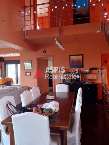 Μονοκατοικία, προς ενοικίαση Πόρτο Ράφτη, Μαρκόπουλο Κωδικός 2160601 - Photo 5