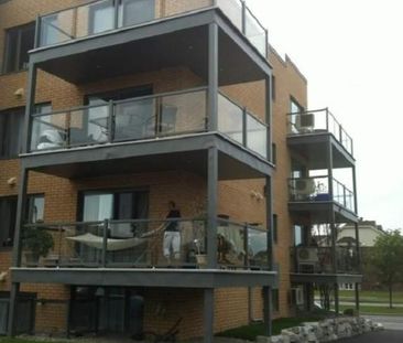 2 CH - 1 SDB - Longueuil - $1,425 /mo - Photo 1