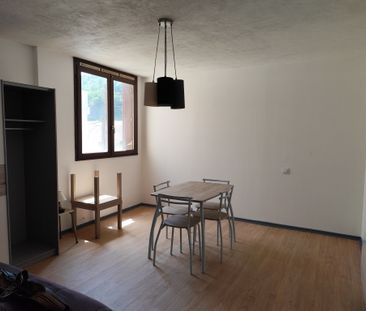 Location Appartement 1 pièce 24m² CAHORS 46000 - Photo 1