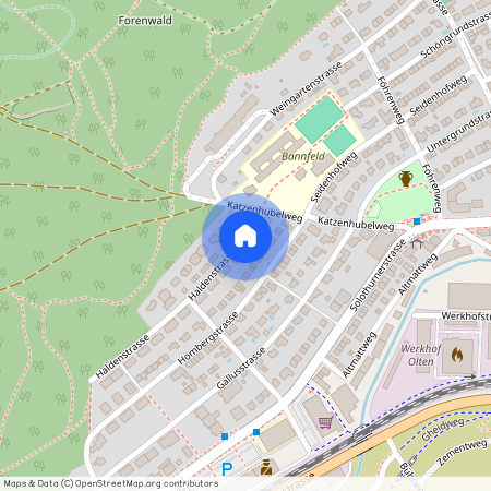 4600, Olten, Haldenstrasse, 7