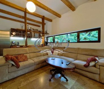 Casa deosebita in Faget - Fotografie 2