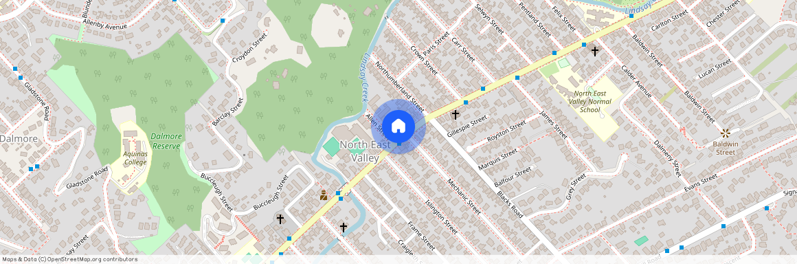 161 North Road, North East Valley, Dunedin City