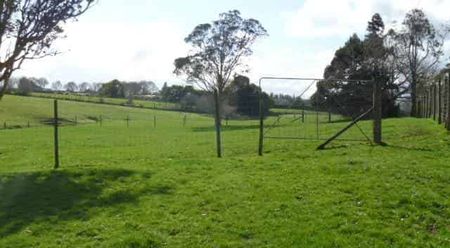 Rural Serenity - Photo 3