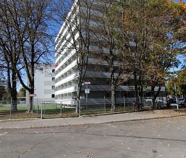 Tolles 1-Zimmer-Apartment in Citynähe mit riesigem Balkon - Foto 2