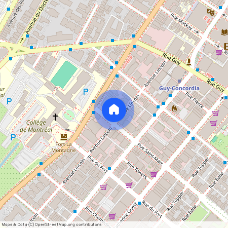 2205 Rue Saint-Marc - 5K, Montréal, QC H3H 2G9