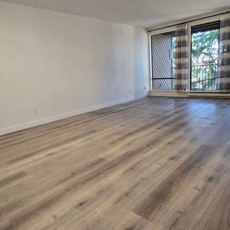 Location, Spacious, Renovated One Bedroom in Popular Sharon Gardens - Photo 3