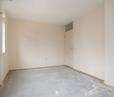 Zeisteroever, 50, Zeist - Photo 2