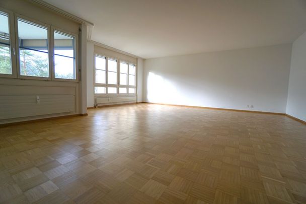 Schöne 3.5 Zimmerwohnung mit grossem Balkon - Foto 1