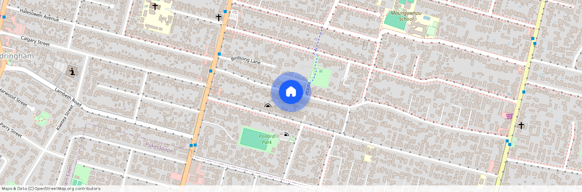 104 Peary Road, Mount Eden, Auckland City