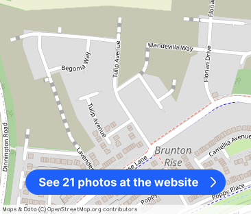 Mandevilla Way, Great Park, NE13 - Photo 1