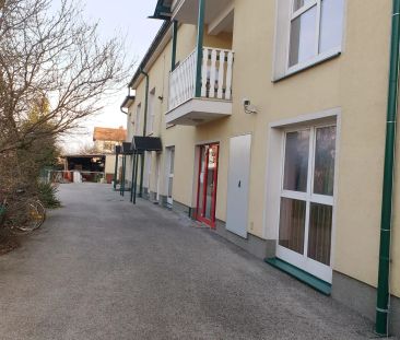 Ein - Zimmerwohnung mit neuer Küche + Balkon zu vermieten! - Foto 5