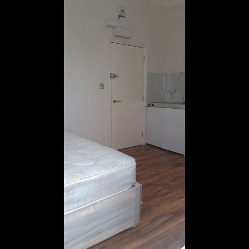 Studio Flat, Harold Road, SE19 - Photo 2