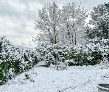 Gemütliche Gartenwohnung mit befristeter Mietdauer - Foto 2