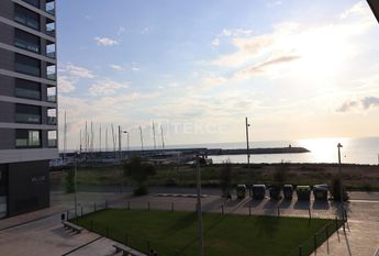 Badalona, La Morera, Barcelona, Catalonia 08918